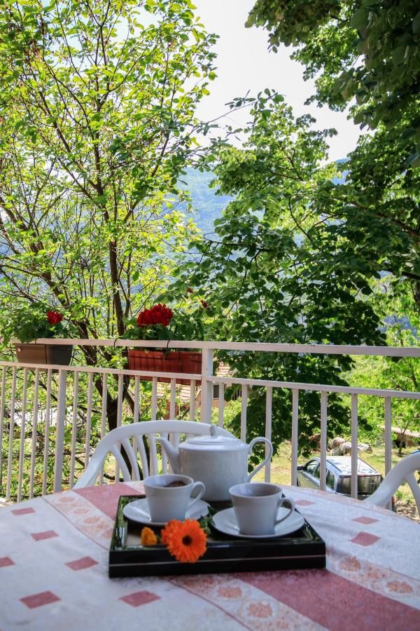 Апартаменты Apartman Vesna Вирпазар-22