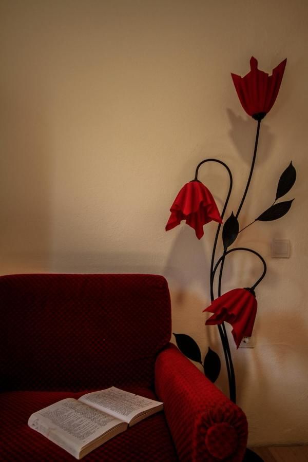 Апартаменты Apartman Vesna Вирпазар-36