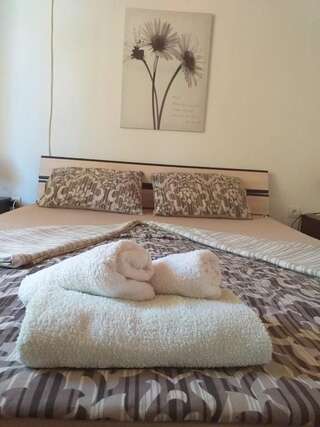Апартаменты Apartman Vesna Вирпазар Двухместный номер с 1 кроватью и патио-3