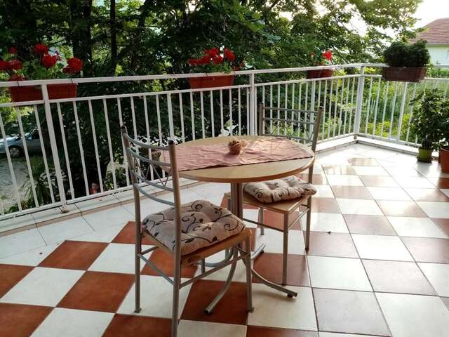 Апартаменты Apartman Vesna Вирпазар-22
