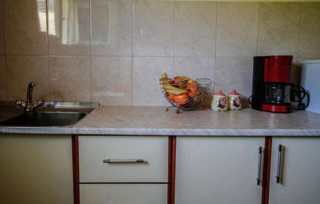Апартаменты Apartman Vesna Вирпазар-24