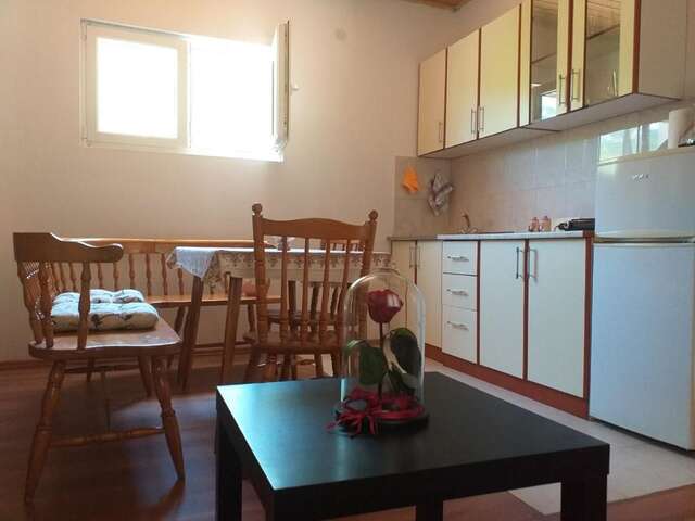 Апартаменты Apartman Vesna Вирпазар-26