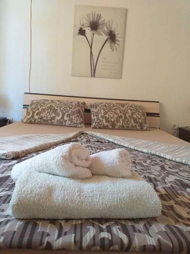Апартаменты Apartman Vesna Вирпазар-31