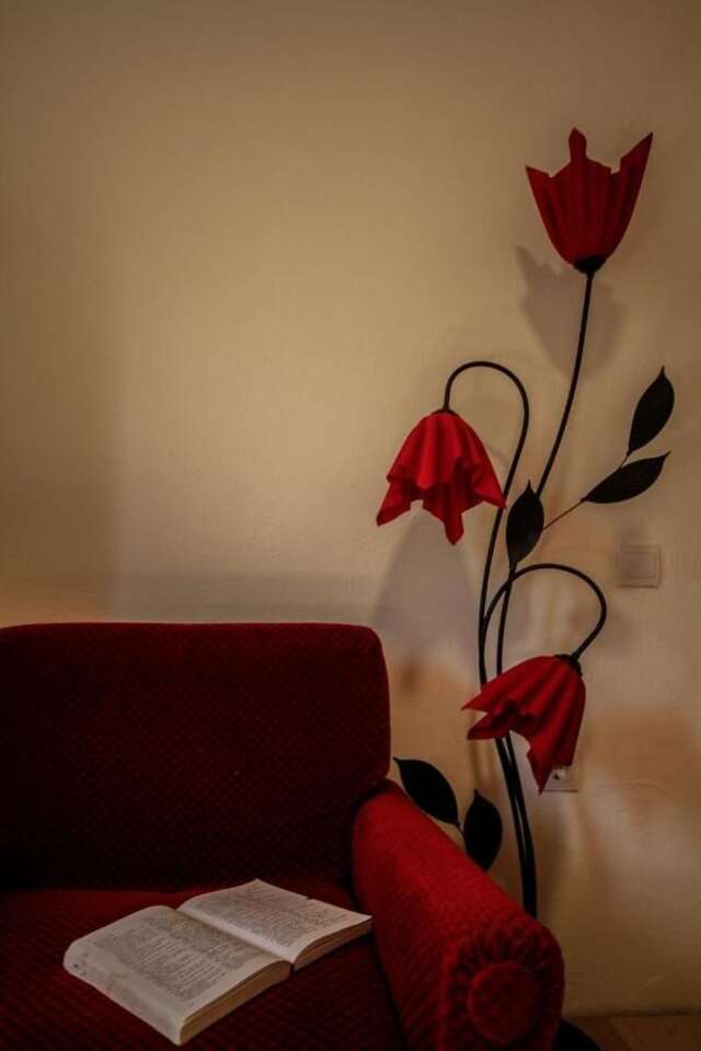 Апартаменты Apartman Vesna Вирпазар-35