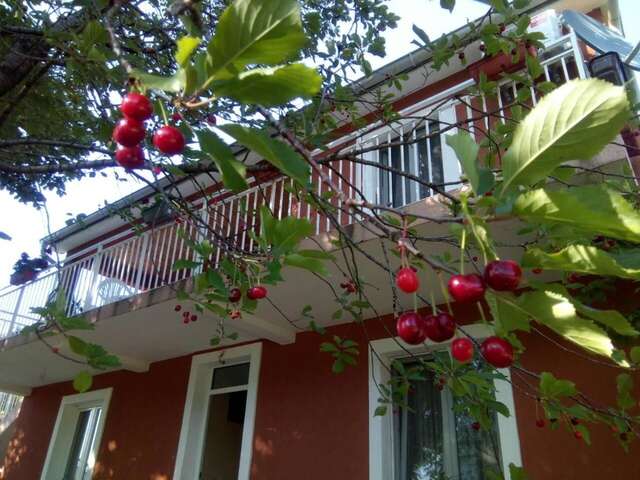 Апартаменты Apartman Vesna Вирпазар-10